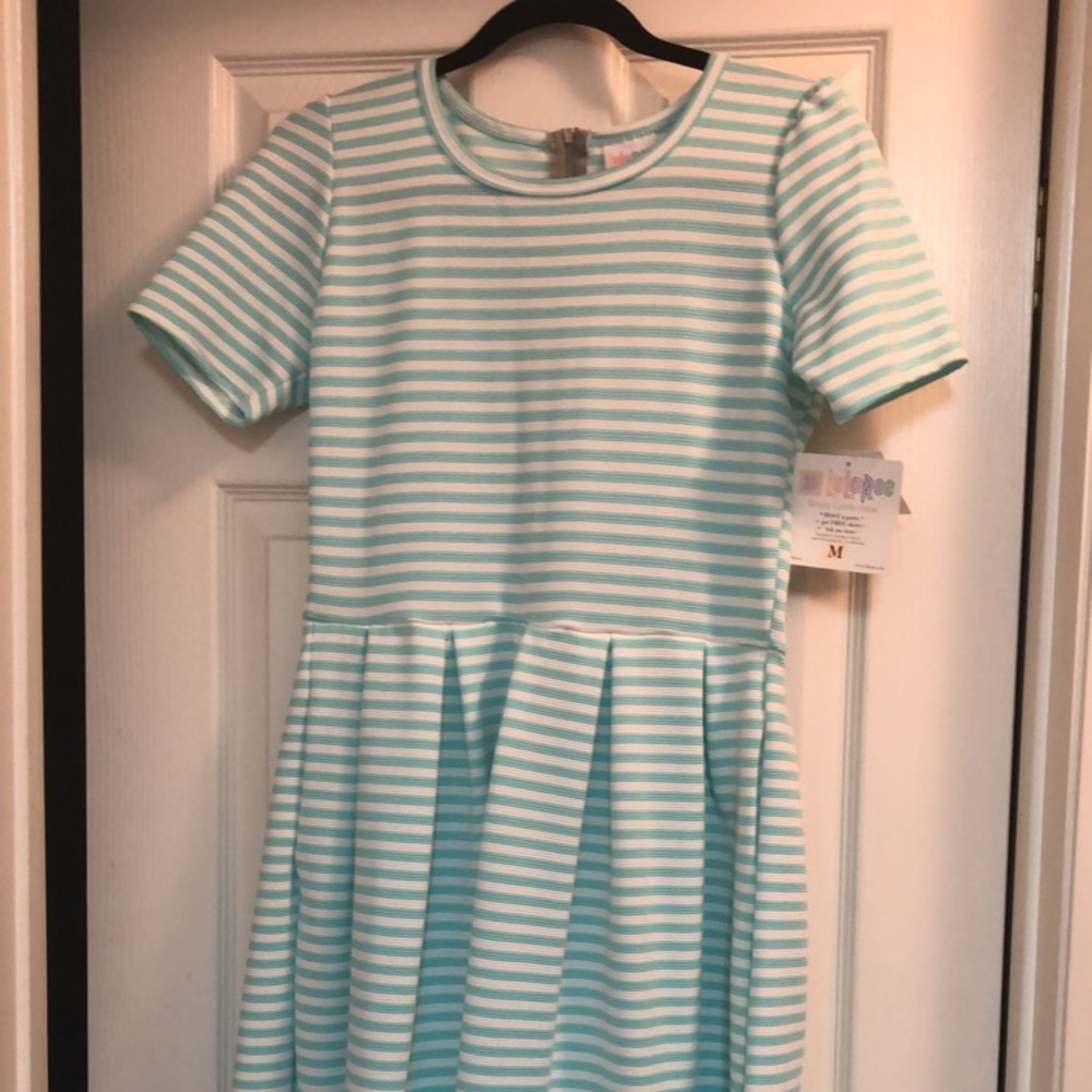 Lularoe Mint White Striped Amelia